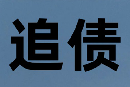 法院诉讼解决债务问题有何后果？